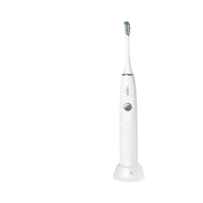 China Shinerosy Battery Operated Induction Smart Radio Charging Electric Toothbrush Magnetic Waterproof Factory Supply Customize OEM SR-OTBA78 for sale