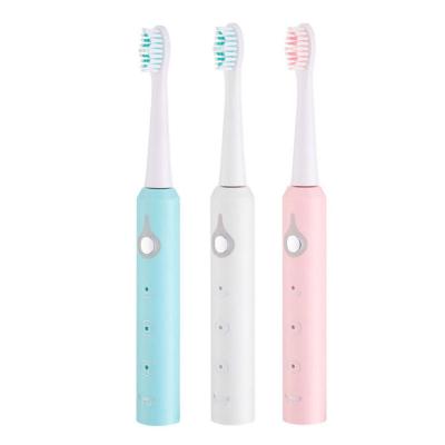 China Shinerosy Battery Powered Soft Bristle USB Charging Electric Toothbrush Adult Automatic Whitening Smart Timer IPX7 Waterproof SR-OTBC11 for sale