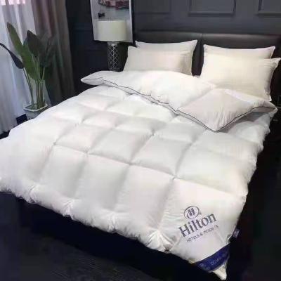 China 2021 Wholesale Anti-allergy Wholesale Queen King Simple Design Hotel Home Comforter Soft White Bed for sale