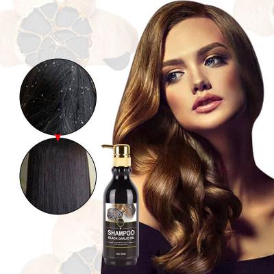 China MOKERU Loss Prevention Aid Prevent Hair Loss Hair Repairing NOURISHING BLACK GARLIC NOURISHING SHAMPOO for sale