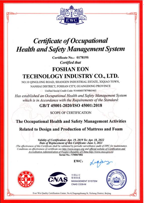 ISO 45001 - Foshan Eon Technology Industry Co., Ltd.