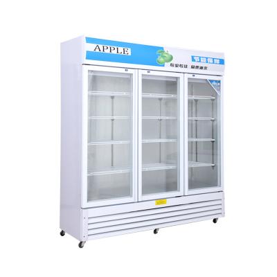 China Single-Temperature Glass Door Cooler Upright Freezer Commercial Beer Beverage Fridge Display Fridge for sale