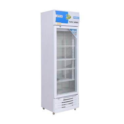 China Single-temperature Beverage Freezer Beverage Display Beer Fridge Commercial Cooler Glass Door Refrigerator for sale