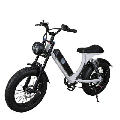 China New design high quality aluminum alloy 20 inch fat electric bicycle 48v 750w fat bike ebike for adults for sale