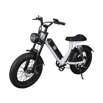 China Aluminum alloy 750w 20 inch fat tire electric bike with red white black colors for sale