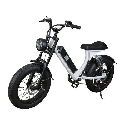 China Hot selling Amazon 48v 750w motor alloy aluminum alloy frame 20 inch pure power fat tire e bike for sale