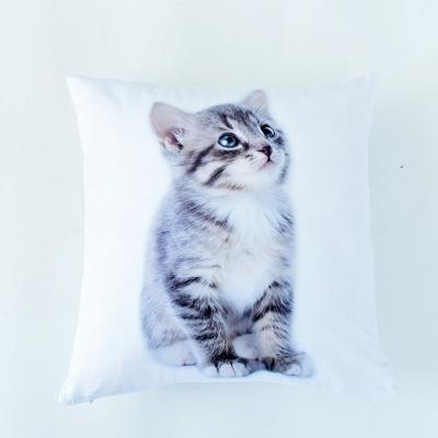 China PP Cotton PORTABLE Soft Square Pillow Luxury Cushion For Sofa Bedroom Car Backrest Cat Pattern The Beautiful for sale