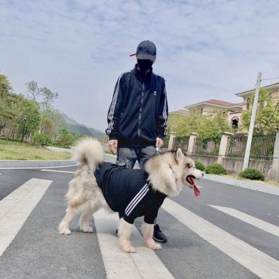 China Sustainable dog clothing human pet clothes parent-child sportswear pets and owners dog sport coat clothing for sale