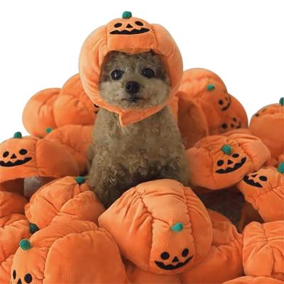 China Viable Halloween Pet Clothes Denim Pumpkin Hat Teddy Dress Up Headgear Ears Cat Pet Clothes for sale