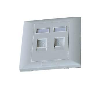 China 2 port 86X86mm dual ports amp network faceplate for sale