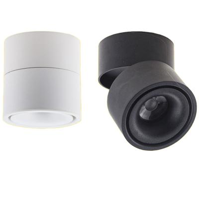 China COB Mounted Exterior Adjustable Anti-glare High End Contemporary Cylindrical Downlight LED Down Light For Museum for sale