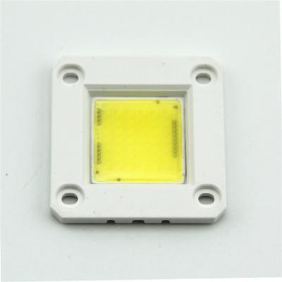 China AlGaInP No LED Driver Diode 3W 5W 10W 20W 30W 50W 220Vac Integrated COB LED Chip For Outdoor Landscape AC 110V 120V for sale