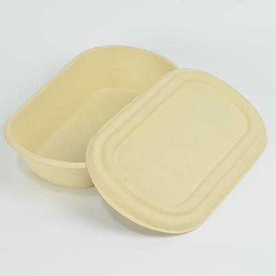 China EcoNewLeaf Wholesale Microwavable 7*5 Inch Sugar Cane Disposable Take Out Food Box Biodegradable Food Container For Food for sale