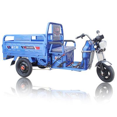 China Large Size 3 Passenger Wheel Cargo Motorcycles Tricycles Electric Gasoline Tricycle / Electric Tricycle For Cargo for sale