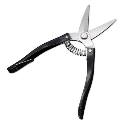 China High Quality Non-Slip Handle Carbon Steel Hobby Garden Tool Bonsai Scissors for sale