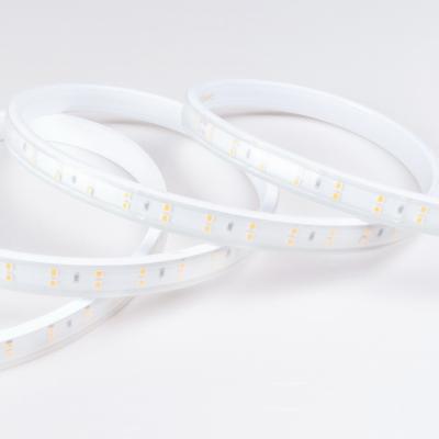 China LANDSCAPE Radio Led Strip Light 220V 2835SMD 120led/m Two Line Accessible Led Strip 20cm Cutting for sale