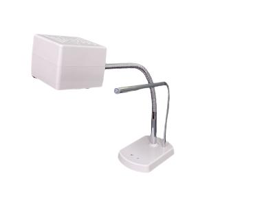 China Modern Silver Color LED Working Lamp Beauty Nail Modern White LED Light for sale