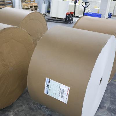 China Factory Direct Supply Biodegradable Custom Size C1S C2S GC1 GC2 FBB Paper In Roll And Sheet for sale