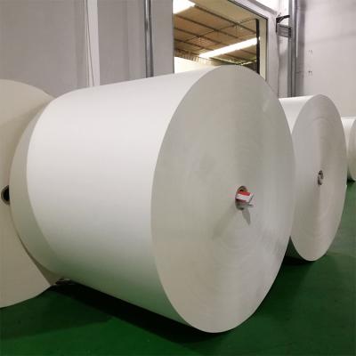 China China strength factory greaseproof pe coated paper roll for paper cup fan raw material pe coated paper roll for sale