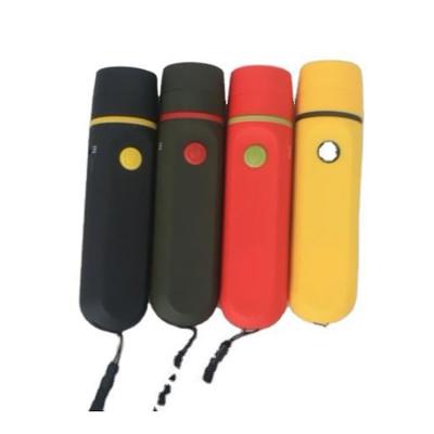 China Convenient Hot Selling Plastic Flashlight for sale