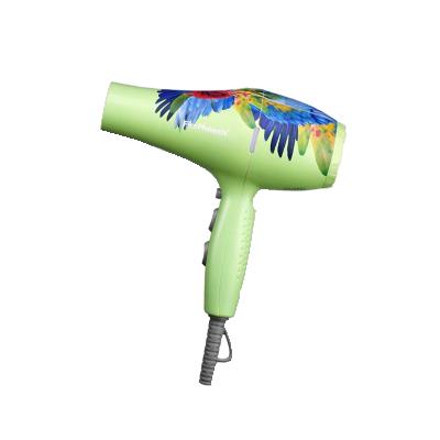 China Other Chinese Production Products Professional Ultralight Salon Hair Dryer Fire Phoenix 5600A Low Noise for sale