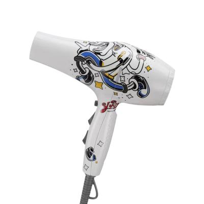 China Other high quality fire phoenix 5600A no radiaition ac motorhairdryer for sale