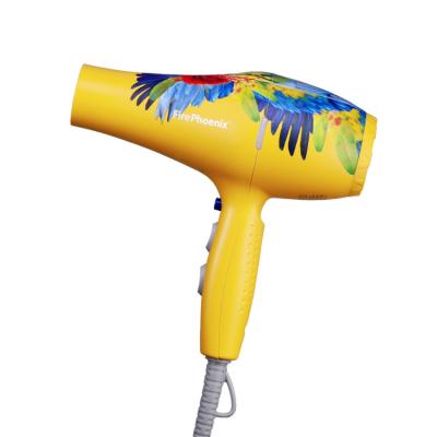 China Other Fire Phoenix Hair Dryer Ultralight Mute Hair Salon High Power Hair Salon Styling Parrot 5600A for sale