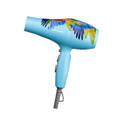 China Other New Design Appearance Balance Technology Hair Dryer Fast Dry Professional Hot And Cold Hair Bolw Dryer for sale