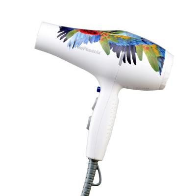 China Other Low Fire Phoenix 5600A DC Motor Radiation High Speed ​​Hair Dryer Excellent Quality Low Price Hair Dryer Manufacturer for sale