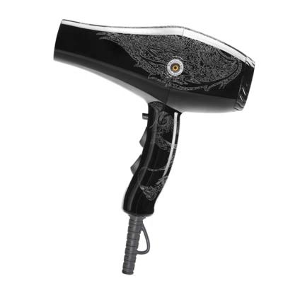 China Other Genuine Phoenix 8960 salon high power hot and cold air hairdresser products electric hair dryer barber for sale