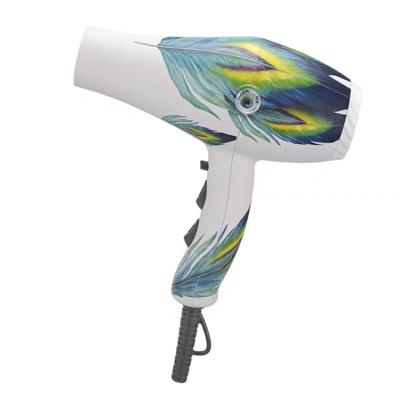 China The other wind 2200W large 8960 ultra light low noise professional modeling professional hair salon Phoenix of fire for sale