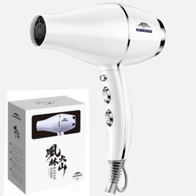 China Other wholesale professional hair dryer 2200w price hairdressing dryer hair salon hair dryer for sale