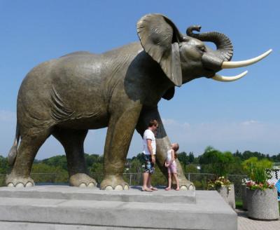 China Europe High Quality Life Size Big Bronze Elephant Statues for sale