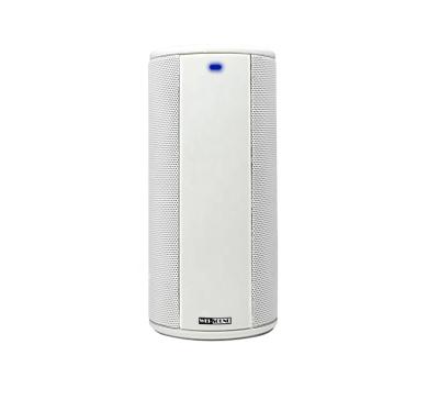 China Perfect New 2020 Tmt Portable Wireless Sound Speaker Outdoor Speaker for sale