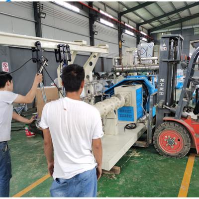 Κίνα 2023 newest type pet dog cat fish food extruder production line προς πώληση