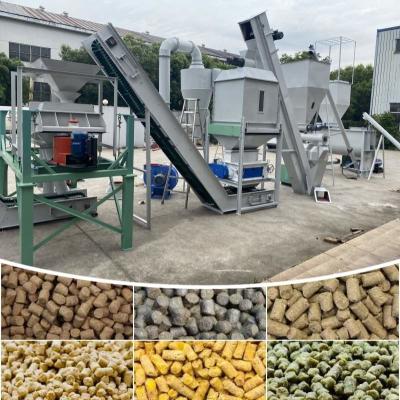 Cina Linea di produzione di pellet per pollame in vendita