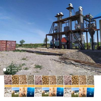 Cina 1-12mm Feed Pellet Machine Line Fabbrica Animal Livestock Cattle Food Machine in vendita