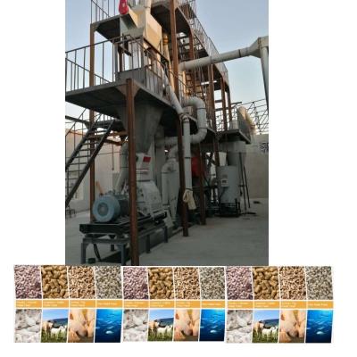 Cina Linea di produzione di pellet per mangimi da 1 a 12 mm in vendita