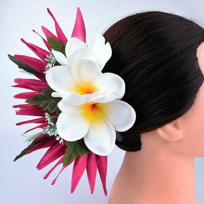 China Decoration factory wholesale supplier HC00003 5 colors artificial silk bird of paradise plumeria women Hawaiian foam flowers hair clip for sale