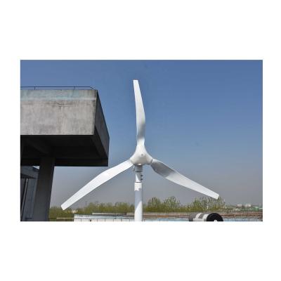 China Boland 5kw BL-005 Factory Wind Turbine for sale