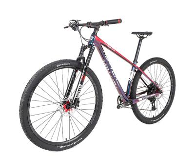 China Magnesium Alloy SX 12 Twitter mtb color speed cuadro mtb carbon holographic mountain bike for sale