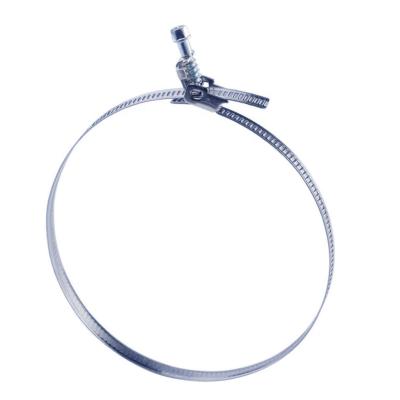 China Stainless Quick Release Suspension Hose Clip Clamp for sale