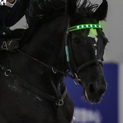 China HANDOU Led Outdoor Equestrian Sporting Goods Led Blood Horse Head Band Riding Show Horse Head Strap Collar for sale