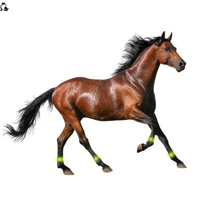 China HANDOU Horse Supplies Night Led Accessory Equestrian Safety Riding Led Foot Bands Horse Leg Light Strip for sale