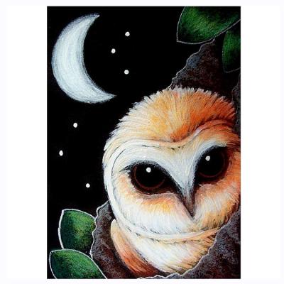 China Waterproof+ECO-Friendly New Latest Arrival Animal Series Owl Point Drill Diamond Decorative Painting Starry DIY Painting for sale