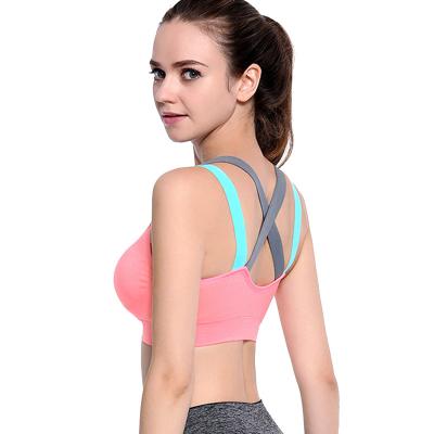 China QUICK DRY Padded Seamless High Print Support Plus Size Underwear Gym Workout Fitness Activewear Racerback Yoga Sports Bra for sale