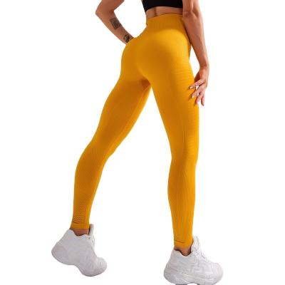 China Hot Sale Antibacterial Fitness Female Full Length Gaiters Running Comfortable Formfitting Pants Yoga Pants for sale