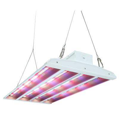 China Aluminum UL listed 480w high intensity dimmable diy cxm 22 grow light led herbal medicine for sale