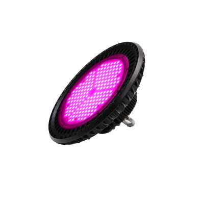 China Hydroponics 200w High Lumen Spectrum Growing Lights Fruit Vegetable Greenhouse Flower Best Full High Berry UFO Led Grow Light for sale