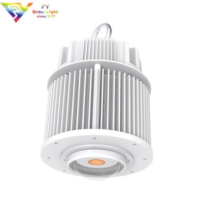 China Shenzhen Factory High Quality Aluminum 100W CREE Diy Cob LED Grow Kits Lights With Led Factory Light for sale